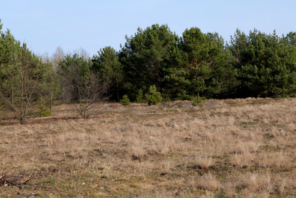 Parforceheide 2021-02-24 69
