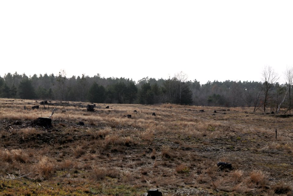 Parforceheide 2021-02-24 76