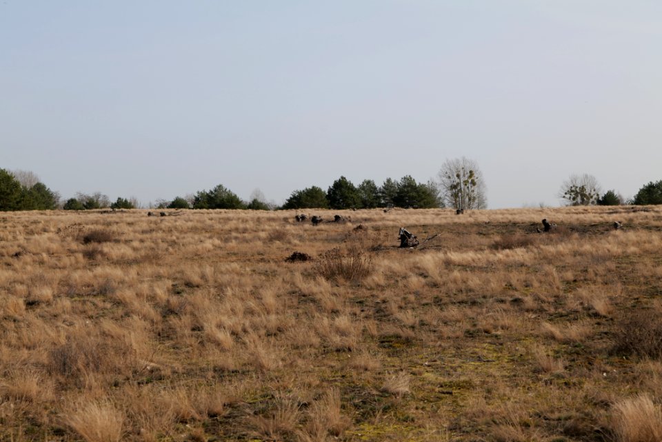 Parforceheide 2021-02-24 70