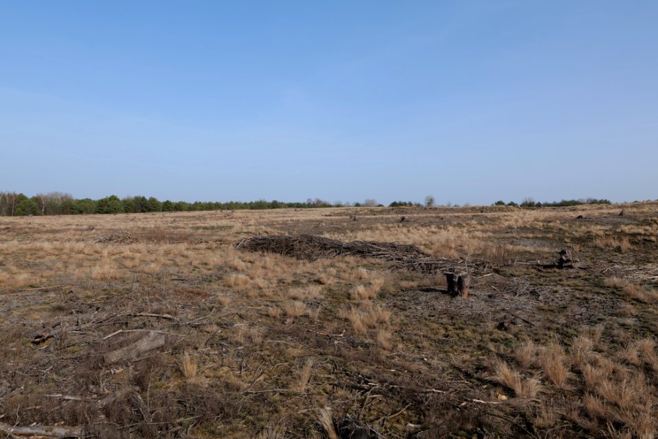 Parforceheide 2021-02-24 92