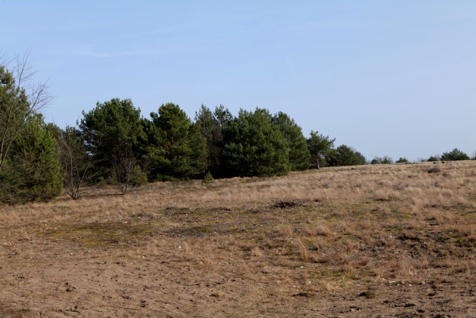 Parforceheide 2021-02-24 65