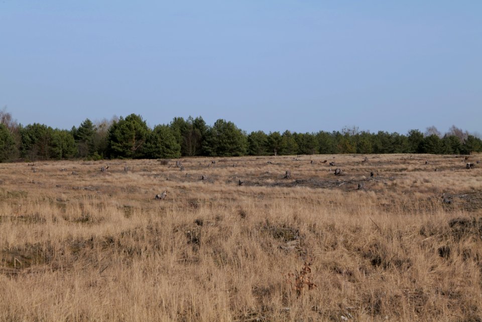 Parforceheide 2021-02-24 82