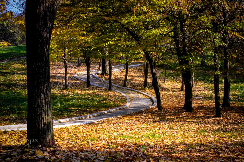 Parcul Romanescu Craiova (184513195)