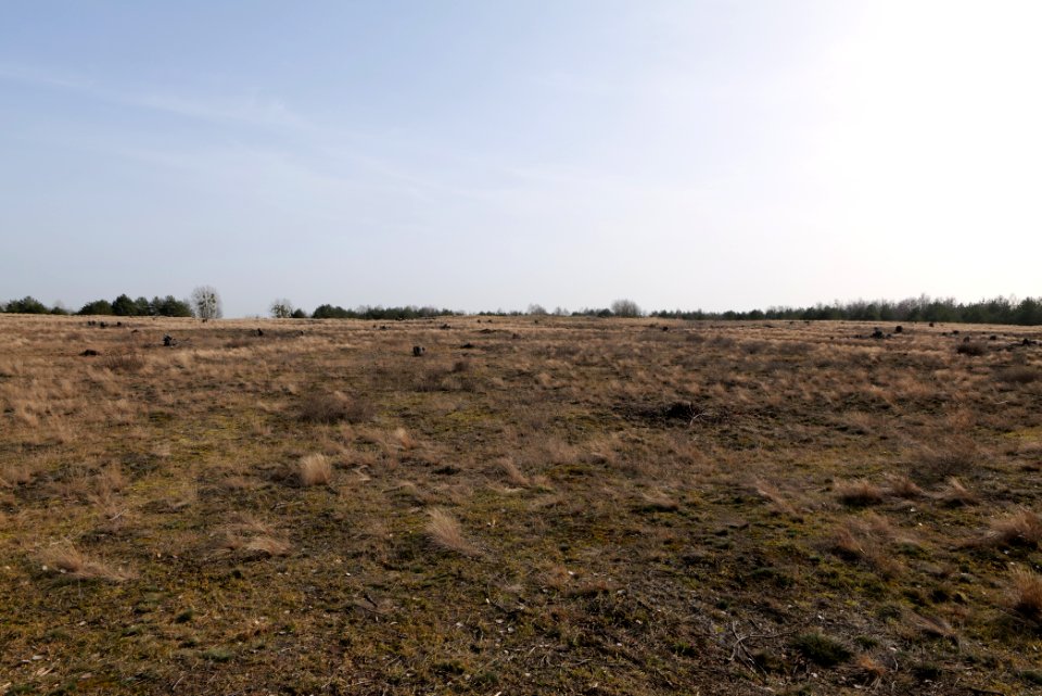 Parforceheide 2021-02-24 67