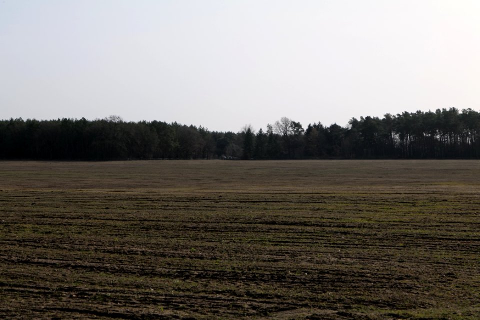 Parforceheide Wüste Mark 2021-02-24 13