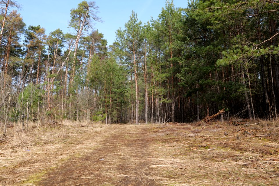 Parforceheide 2021-02-24 16