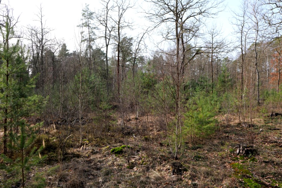 Parforceheide 2021-02-24 20