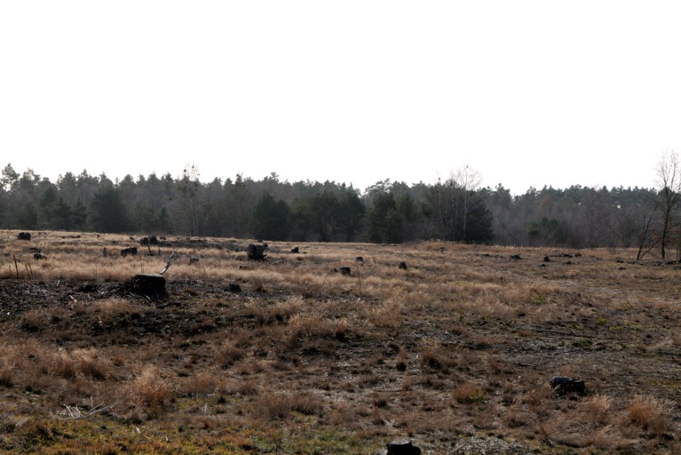 Parforceheide 2021-02-24 75