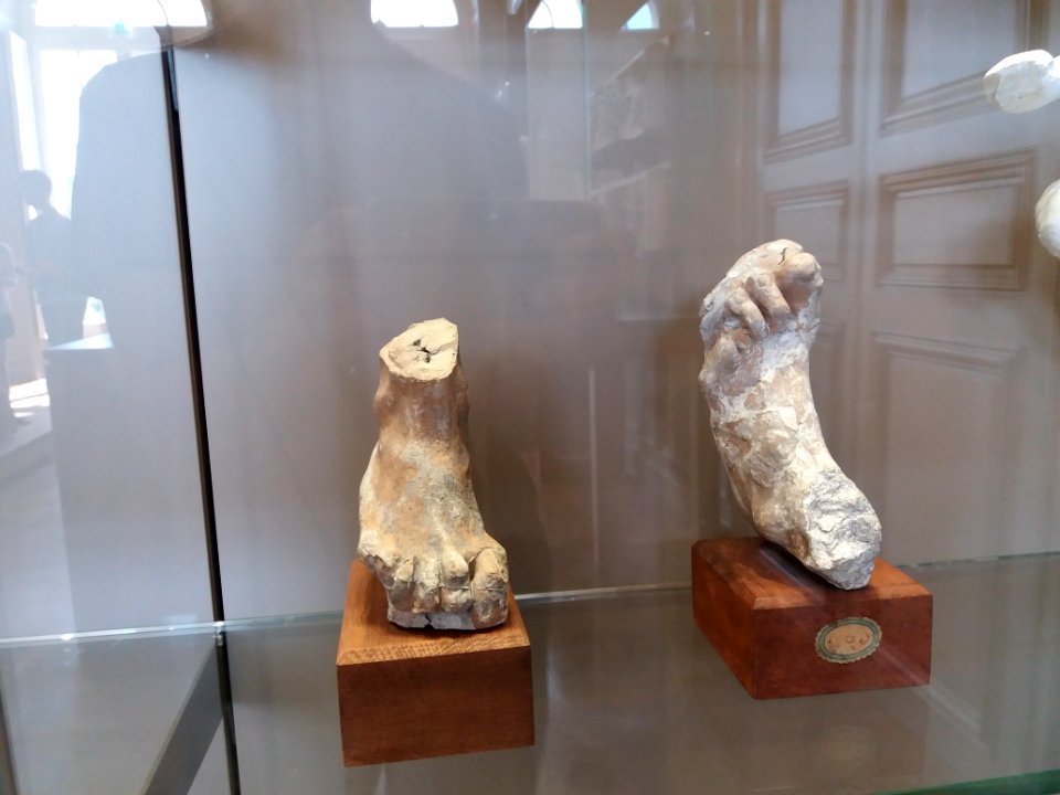 Paris 7e - Musée Rodin, études pour le Penseur, 1881-1882, pied droit (S. 3922) et pied gauche (S. 3919)