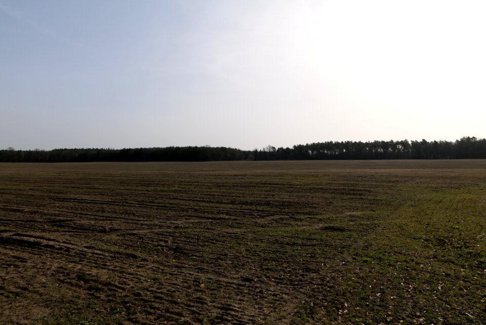 Parforceheide Wüste Mark 2021-02-24 11