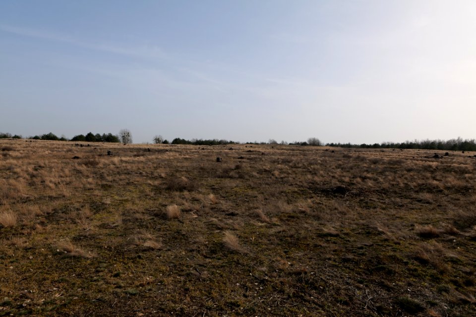 Parforceheide 2021-02-24 68
