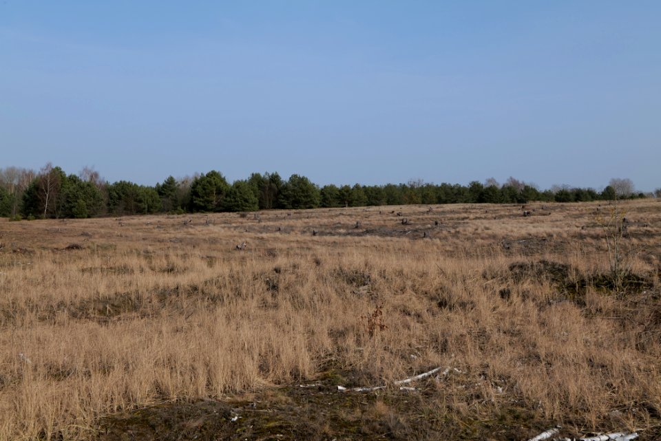 Parforceheide 2021-02-24 83