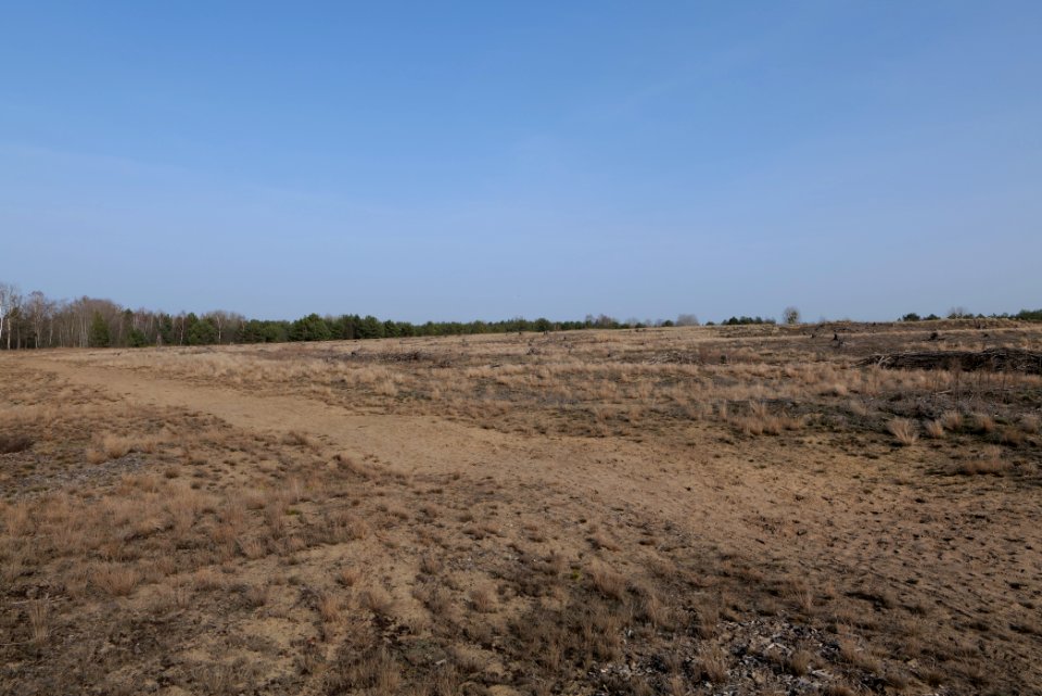 Parforceheide 2021-02-24 90