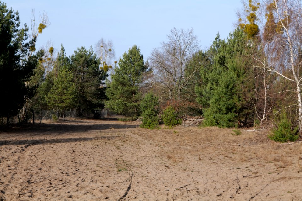 Parforceheide 2021-02-24 98