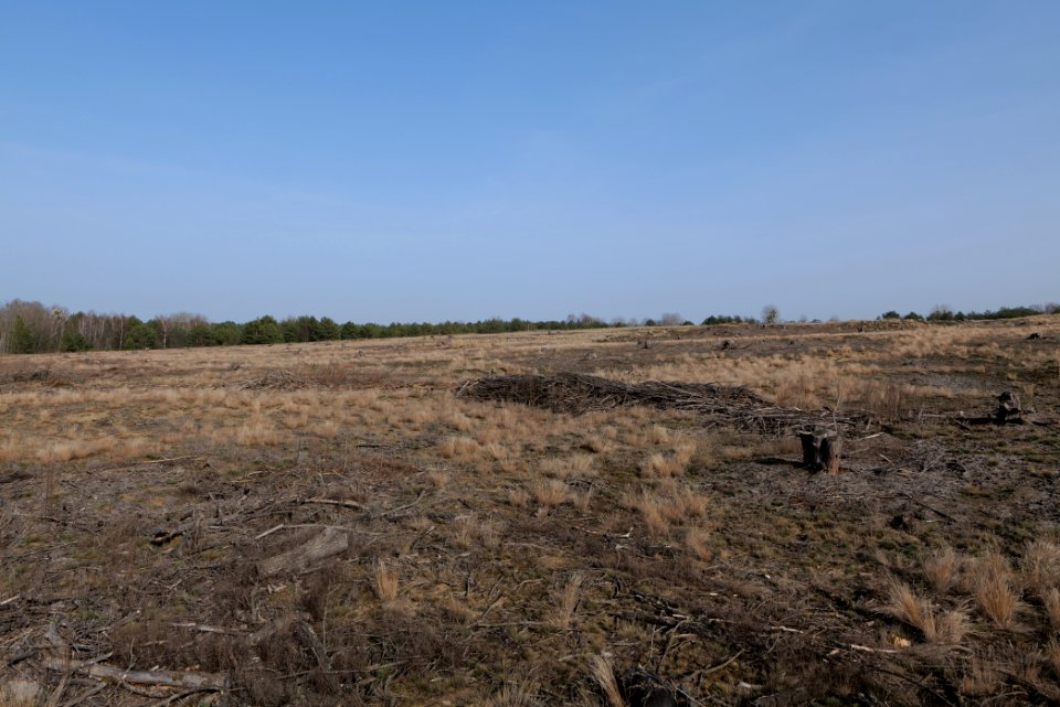 Parforceheide 2021-02-24 91