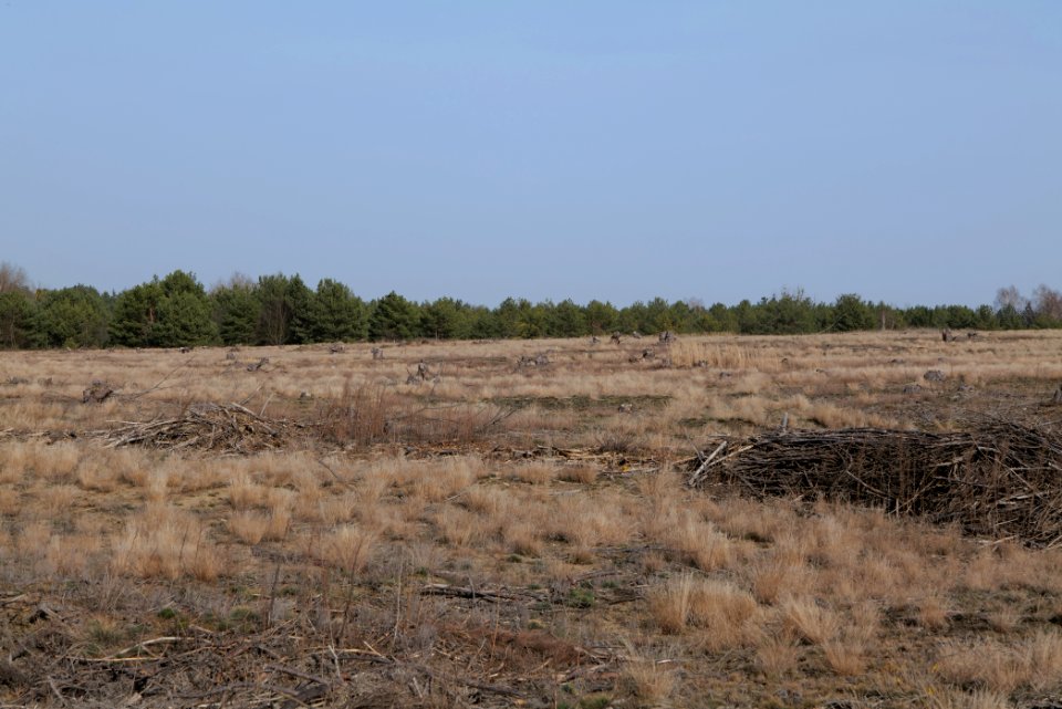 Parforceheide 2021-02-24 94