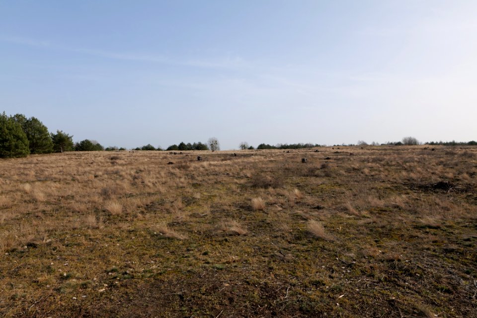 Parforceheide 2021-02-24 72