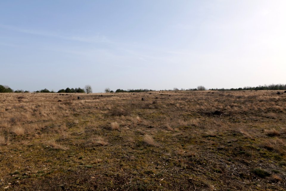 Parforceheide 2021-02-24 71