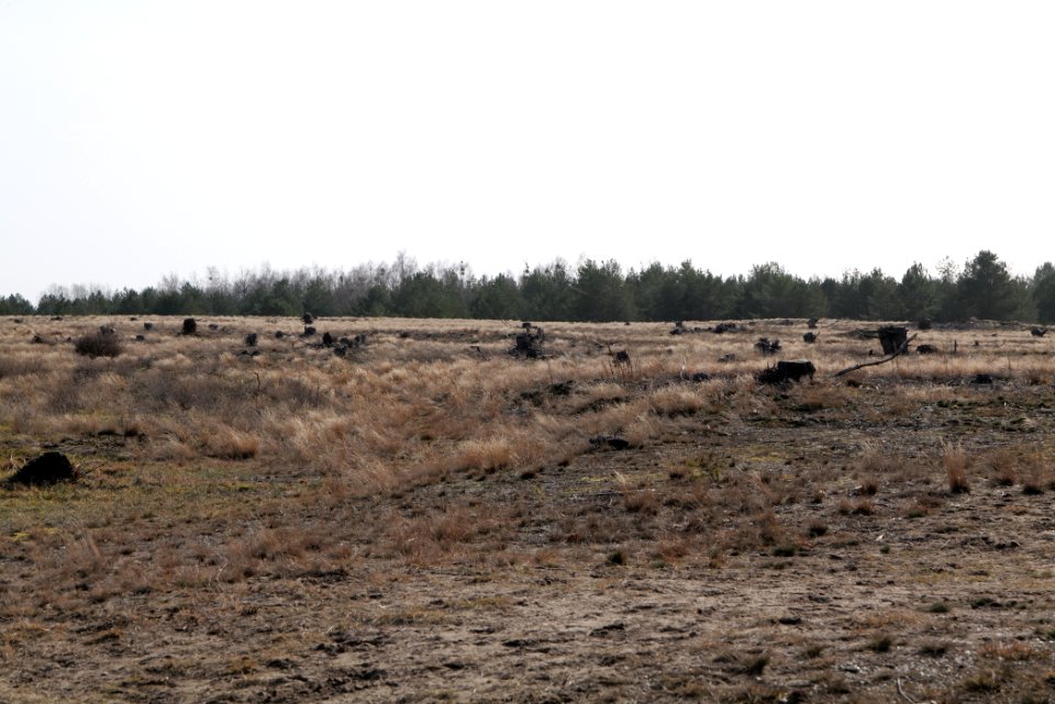 Parforceheide 2021-02-24 63