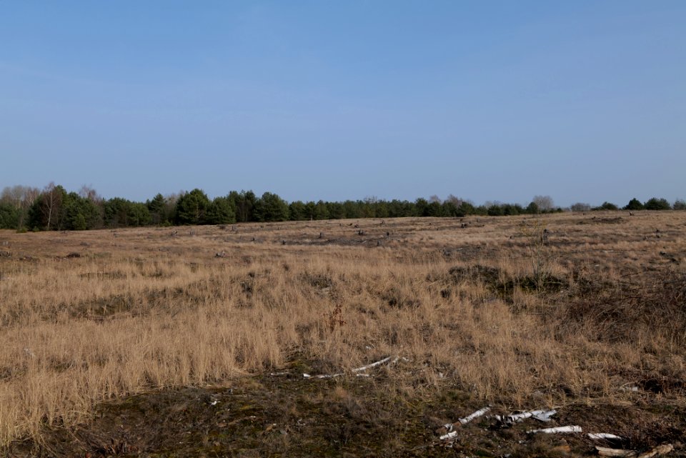 Parforceheide 2021-02-24 85