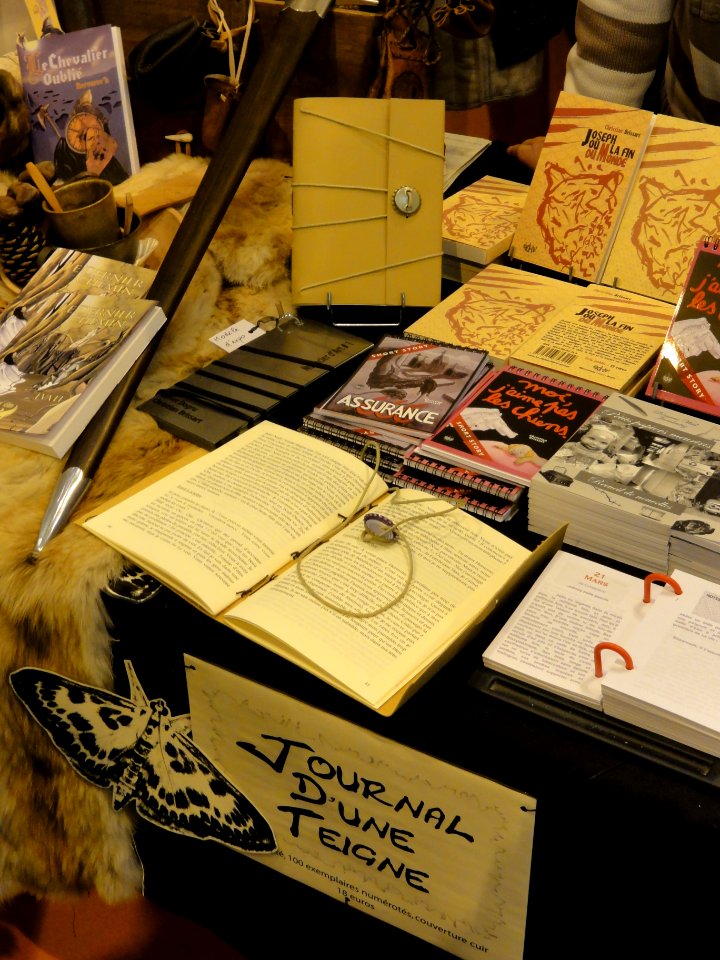 Paris, Salon du Livre 2015 (04) reliures artistiques
