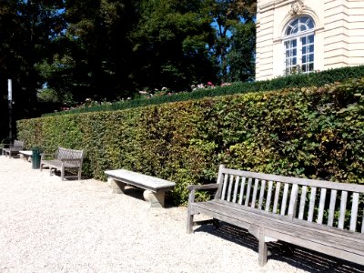 Paris 7e - Musée Rodin, bancs devant l'hôtel Biron