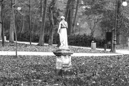 Parcul Romanescu Craiova (184513389)
