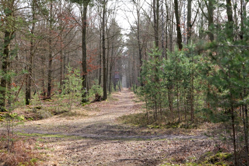 Parforceheide 2021-02-24 37