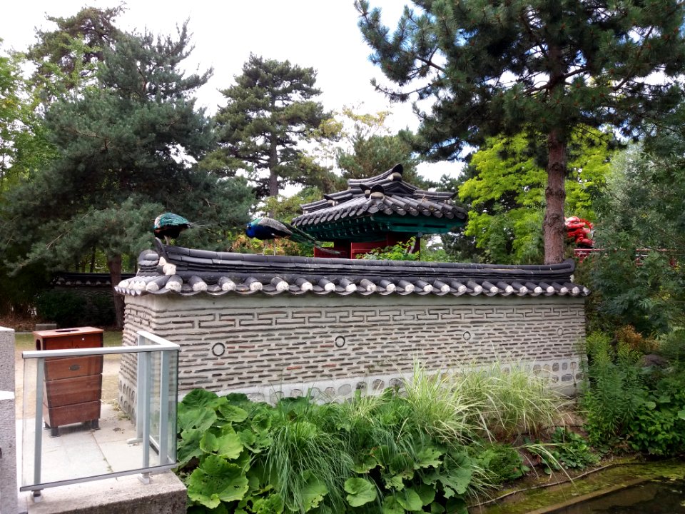 Paris - Jardin d'Acclimatation - Jardin de Séoul - Paons sur un mur