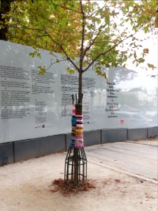 Paris 4e - Parvis Notre-Dame - Arbre tricoté