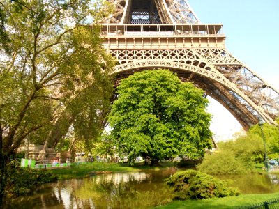 Paris 75007 Champ-de-Mars - lac 2013-05-07