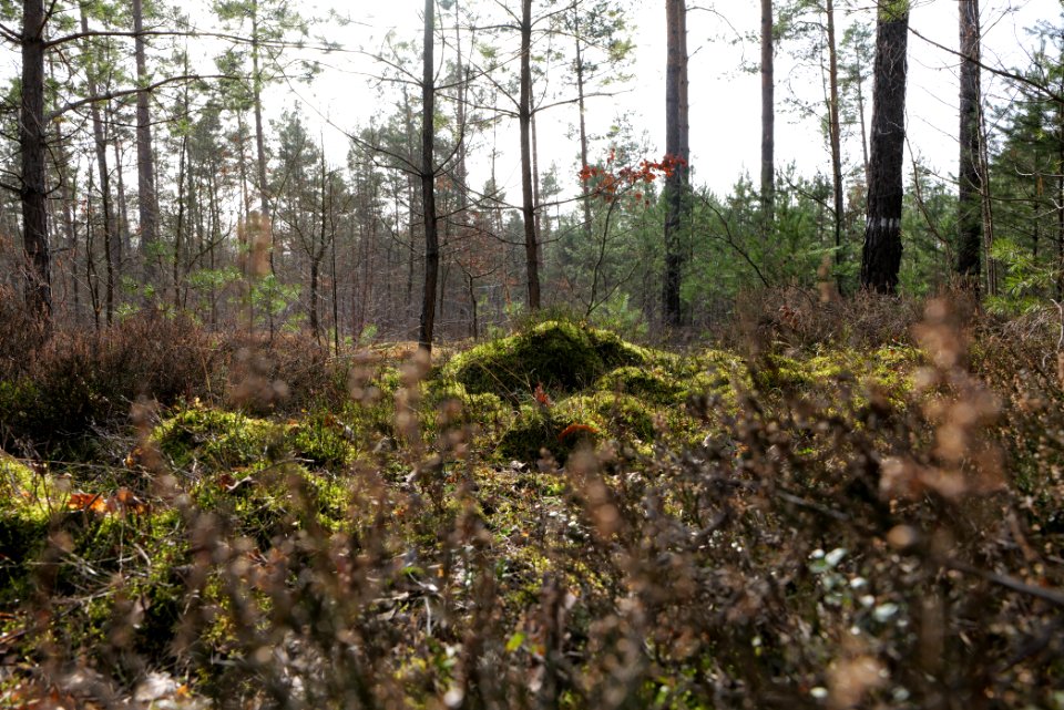 Parforceheide 2021-02-24 24