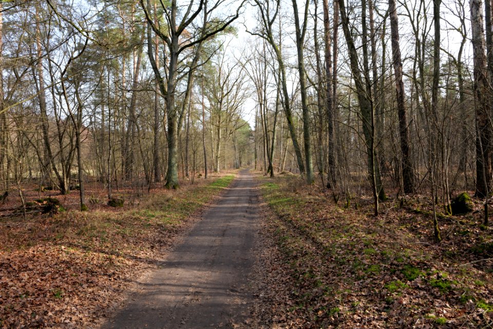 Parforceheide 2021-02-24 07