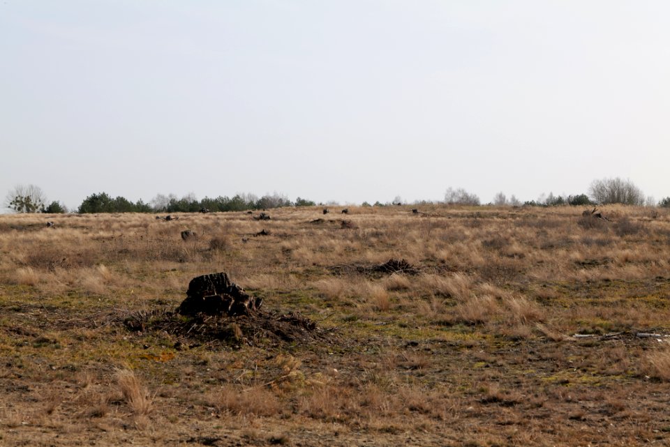 Parforceheide 2021-02-24 59
