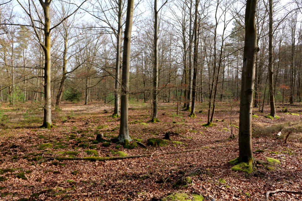 Parforceheide 2021-02-24 43
