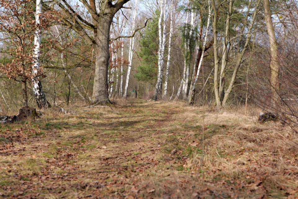 Parforceheide 2021-02-24 47