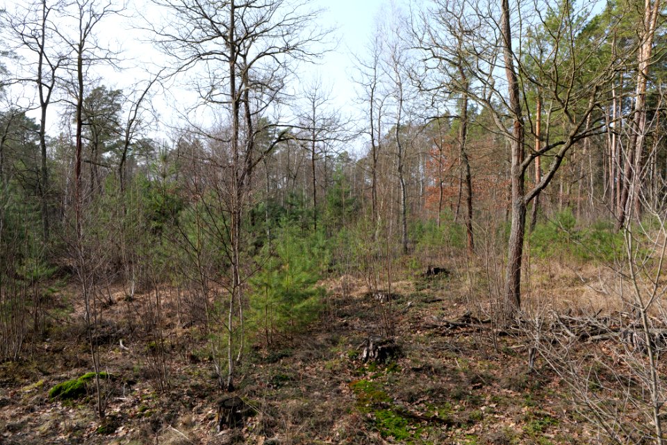 Parforceheide 2021-02-24 21
