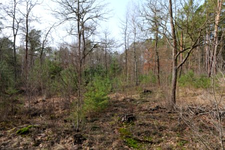 Parforceheide 2021-02-24 21