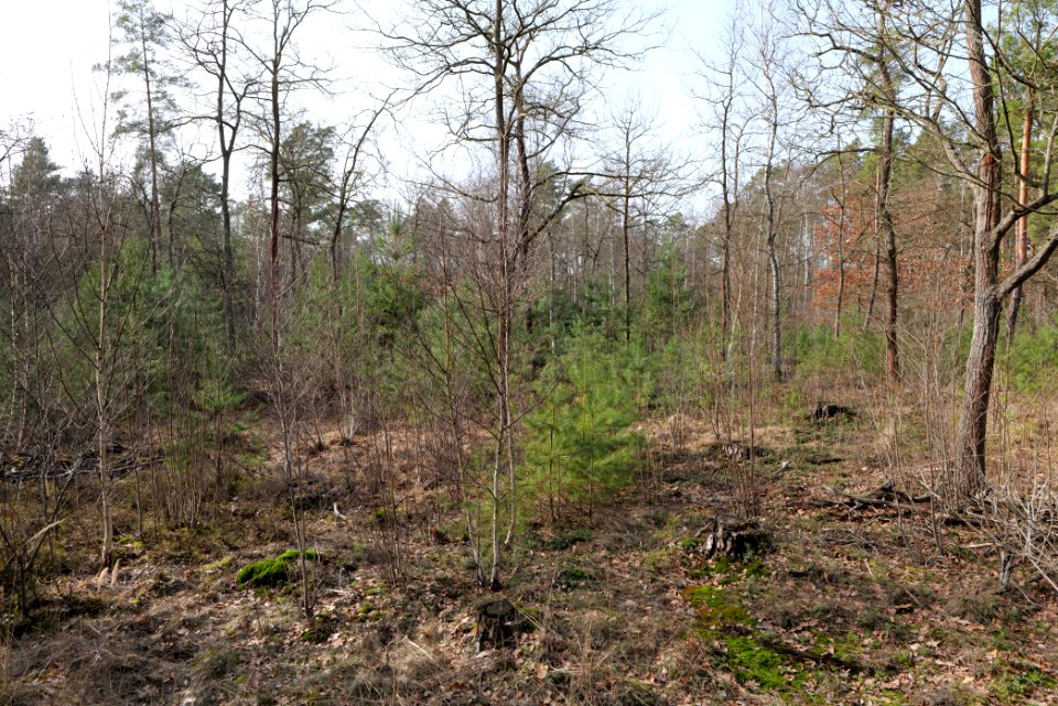 Parforceheide 2021-02-24 18