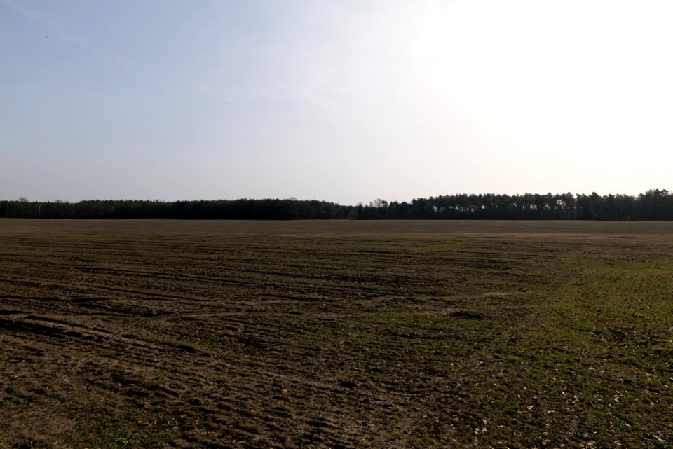 Parforceheide Wüste Mark 2021-02-24 10