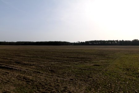 Parforceheide Wüste Mark 2021-02-24 10