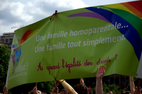 Paris Gay Pride 2013 005