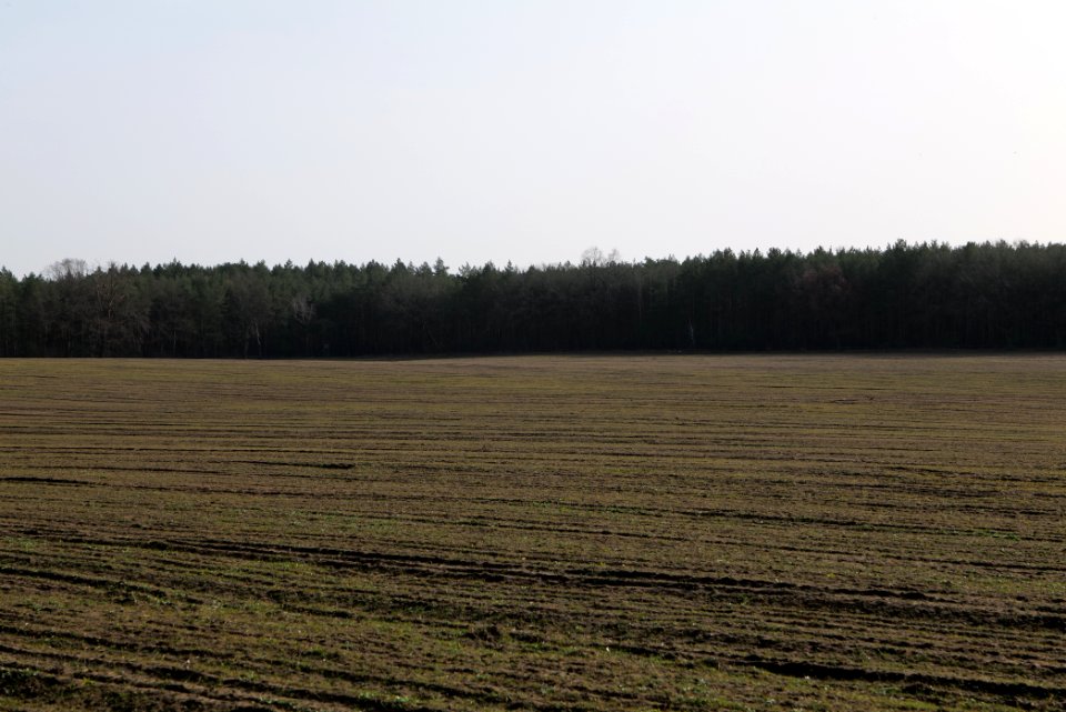 Parforceheide Wüste Mark 2021-02-24 07