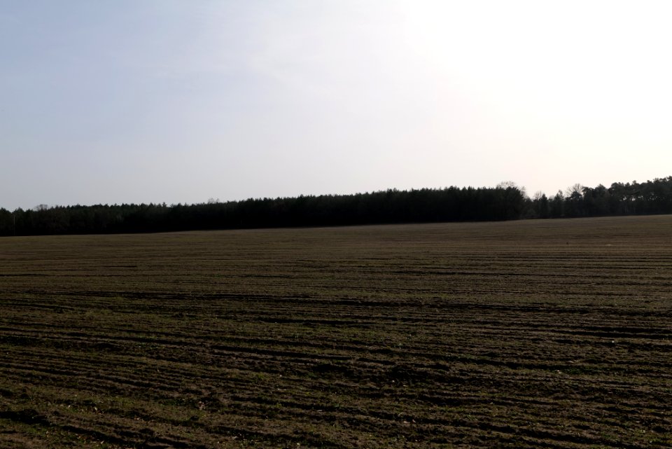 Parforceheide Wüste Mark 2021-02-24 09
