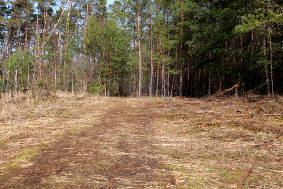 Parforceheide 2021-02-24 17