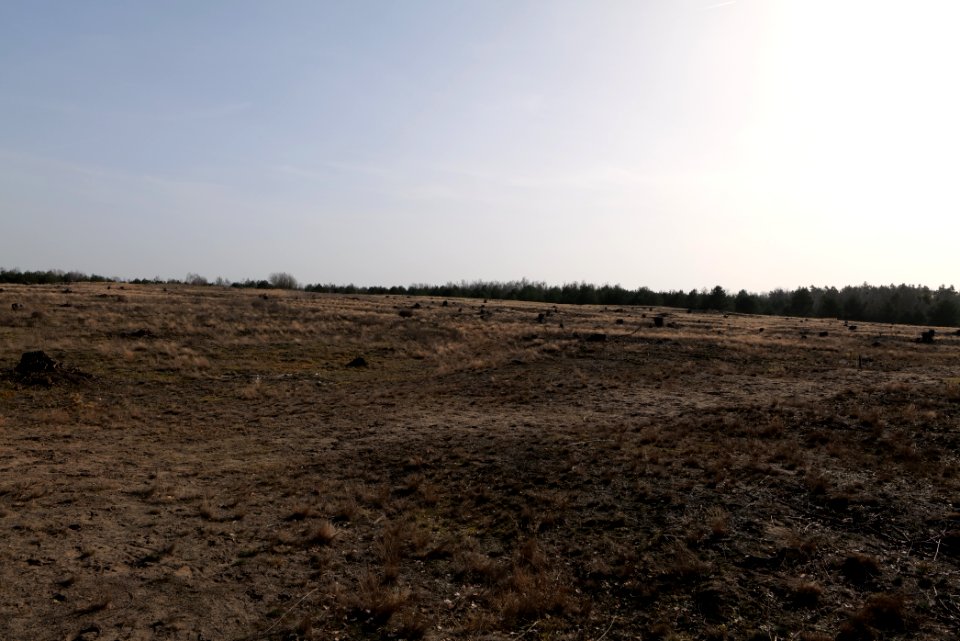 Parforceheide 2021-02-24 79