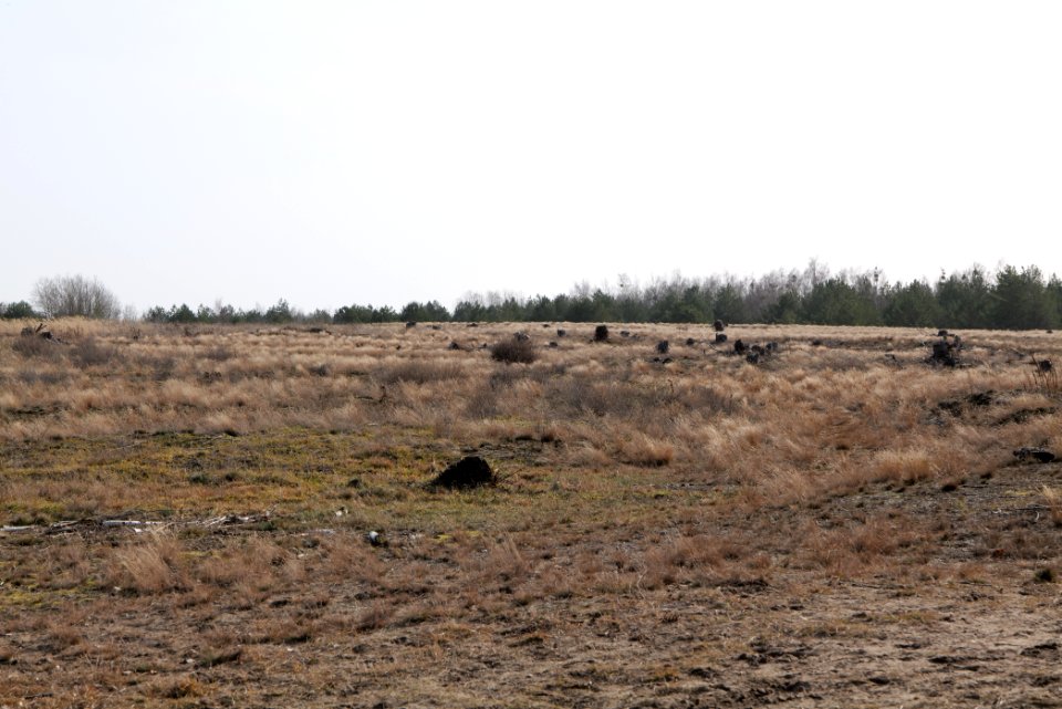 Parforceheide 2021-02-24 64