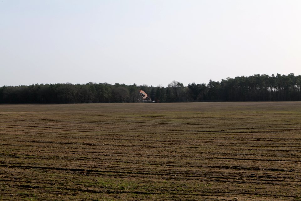 Parforceheide Wüste Mark 2021-02-24 15