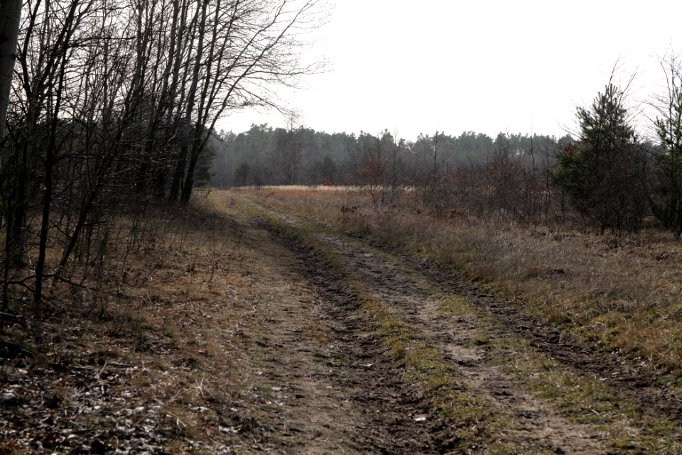 Parforceheide 2021-02-24 80