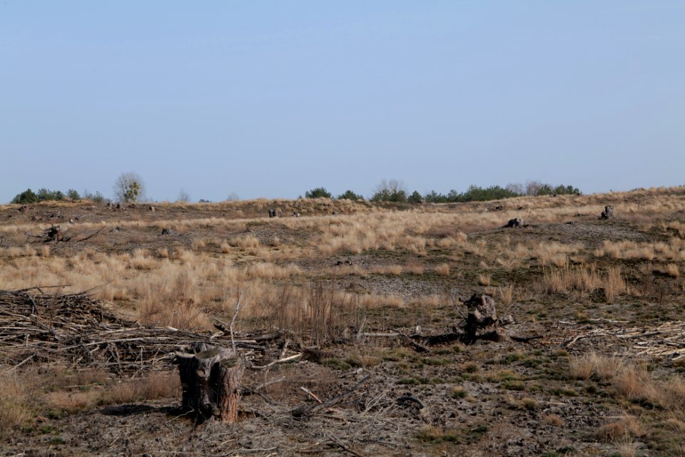 Parforceheide 2021-02-24 93
